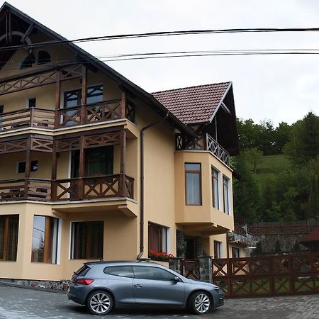 Pensiunea Amnesia Sovata Bagian luar foto